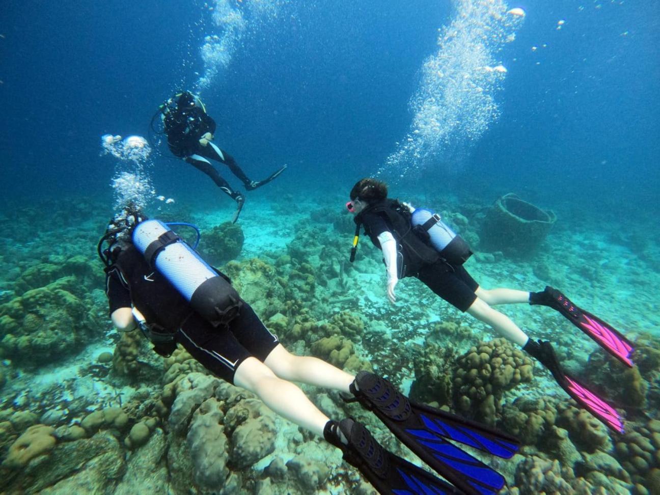 Tropical Divers Resort クラレンダイク エクステリア 写真